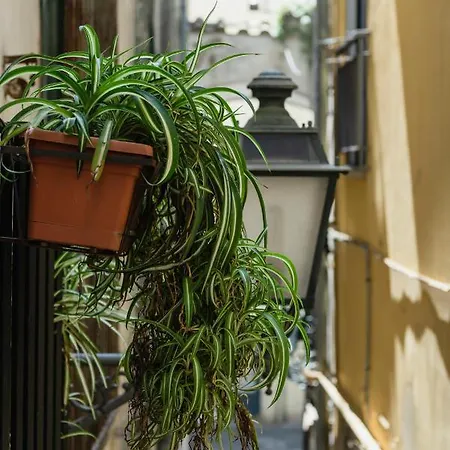 La Casa Degli Angeli *